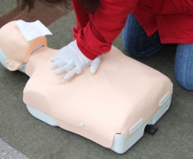 Attestation of Cabin Crew